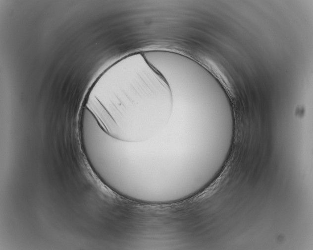 X0000096670900200802261449