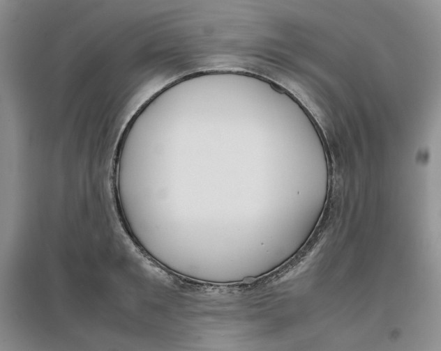 X0000096670901200802261449