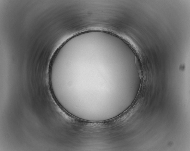 X0000096670902200802261449