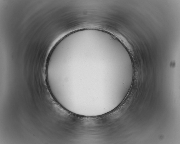 X0000096670904200802261449