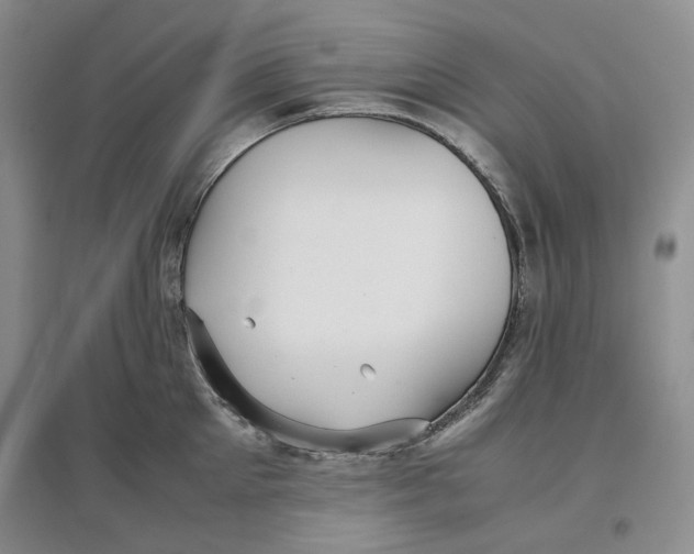 X0000096670905200802261449