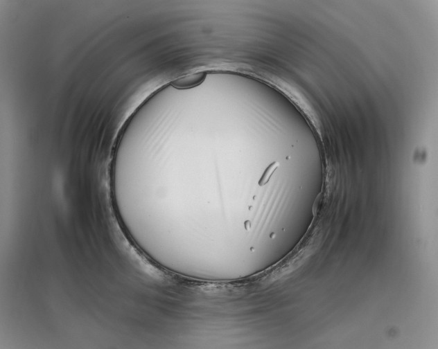 X0000096670906200802261449