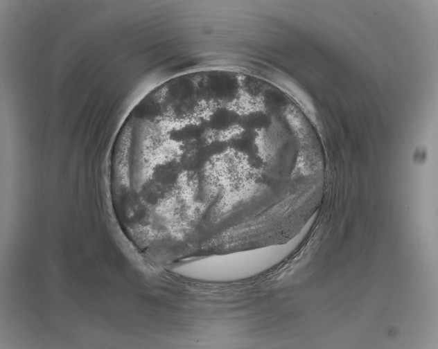 X0000096670907200802261449