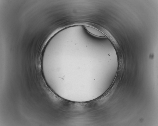 X0000096670908200802261449