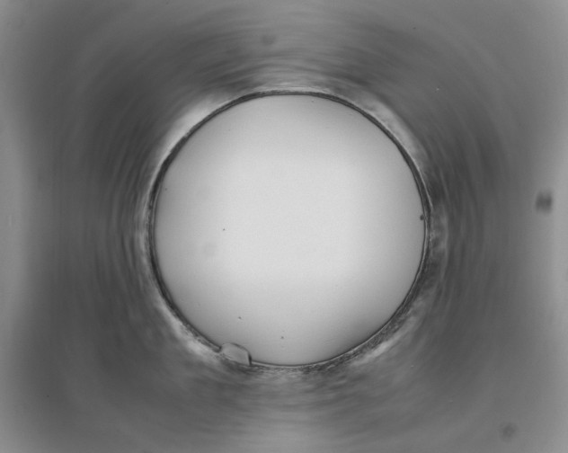 X0000096670909200802261449