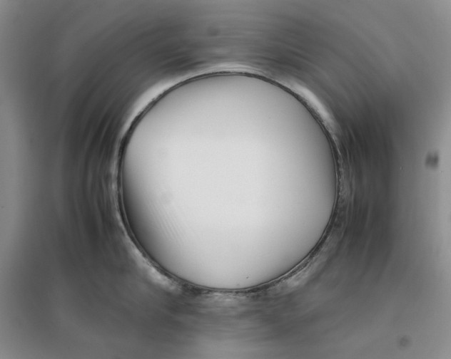 X0000096670910200802261449