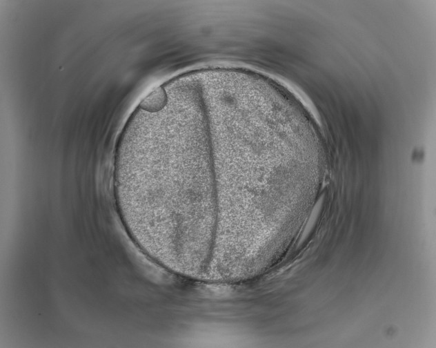 X0000096670911200802261449