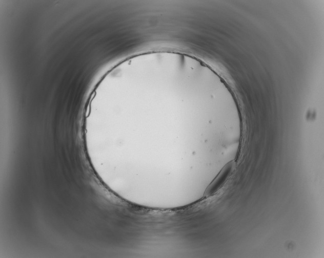 X0000096670912200802261449