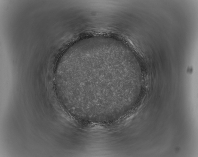 X0000096670913200802261448