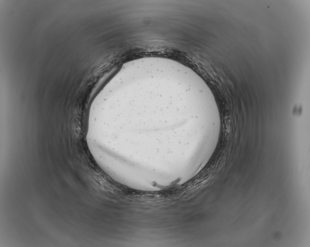 X0000096670916200802261448