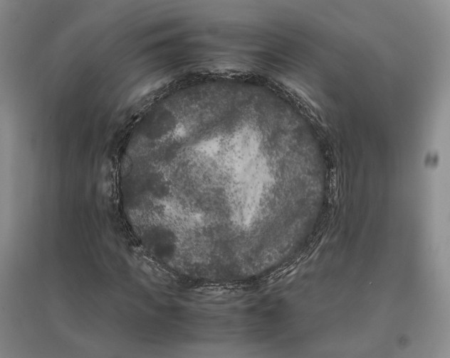 X0000096670917200802261448