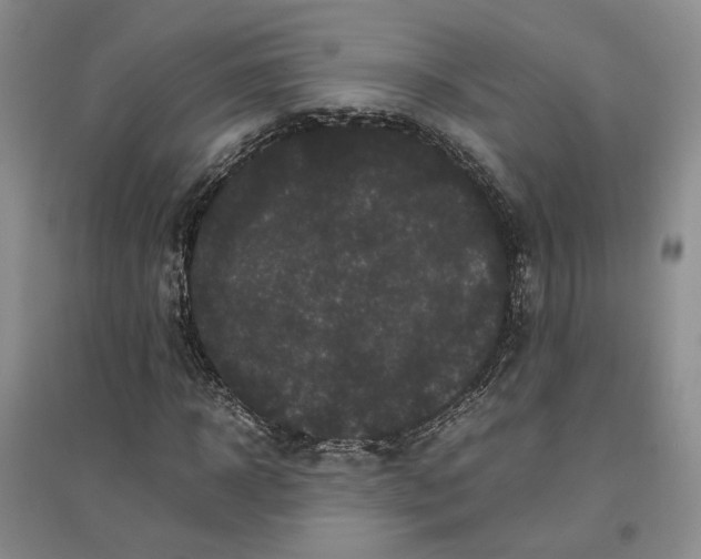 X0000096670918200802261448