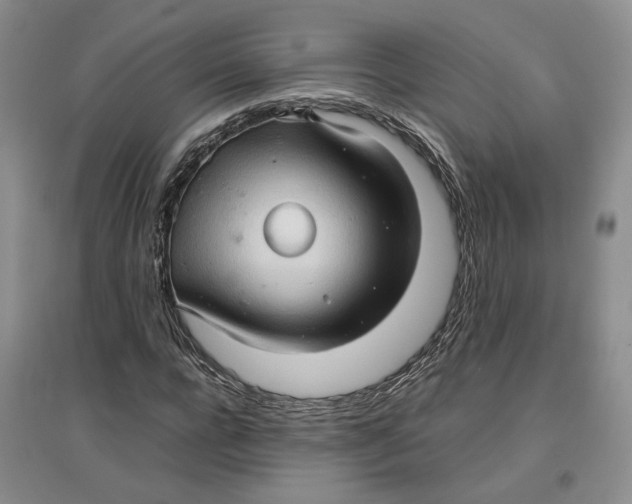 X0000096670920200802261448