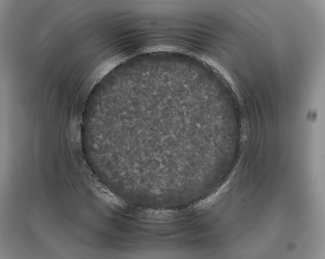 X0000096670921200802261448