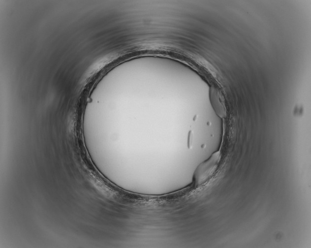 X0000096670922200802261448