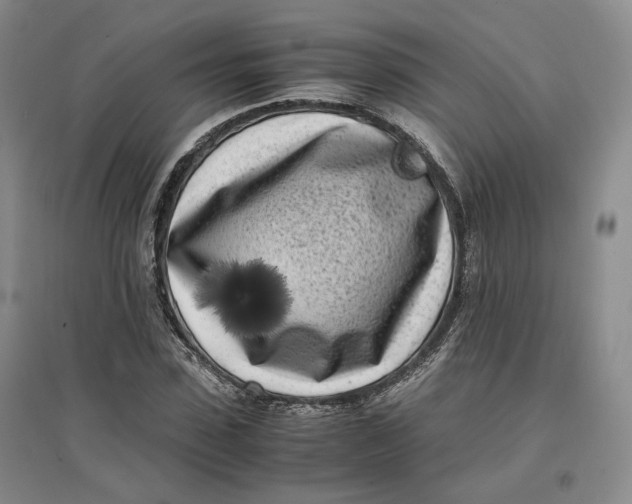 X0000096670923200802261448