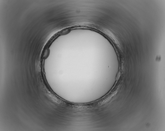 X0000096670924200802261448