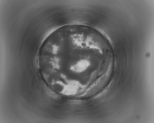 X0000096670925200802261448