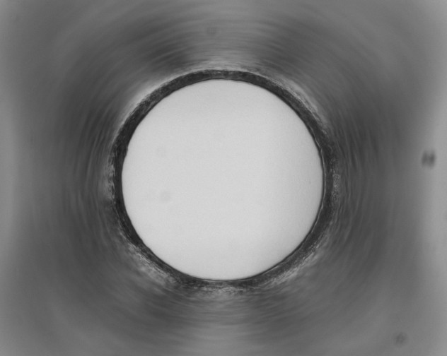 X0000096670926200802261448