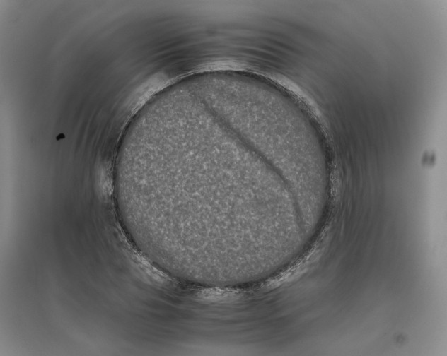 X0000096670929200802261449