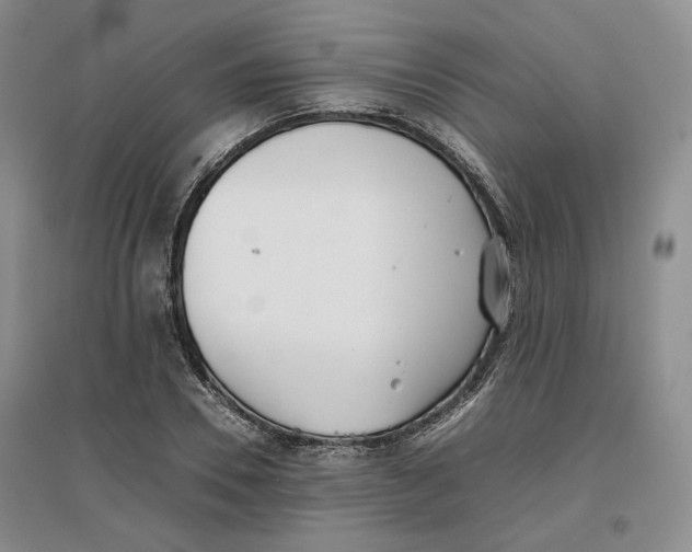 X0000096670930200802261449