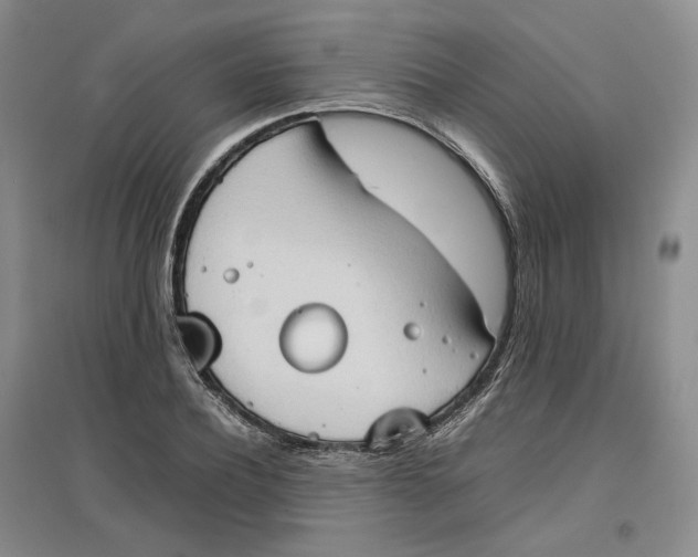 X0000096670932200802261449