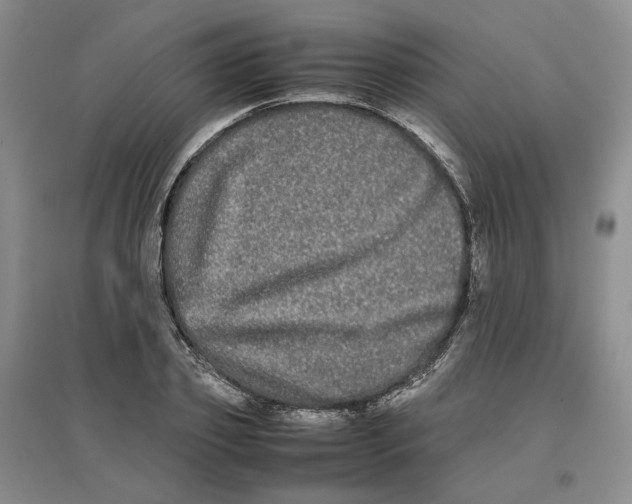 X0000096670933200802261449