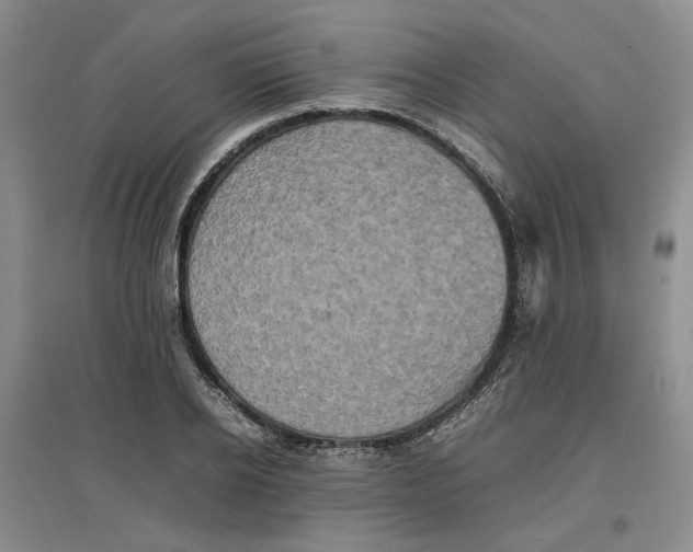 X0000096670934200802261449