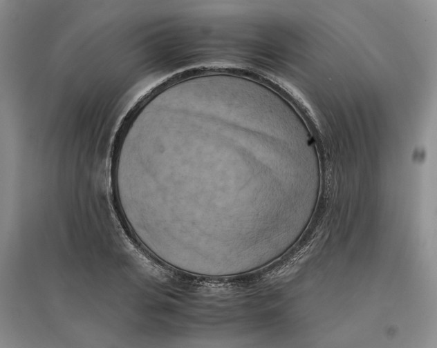 X0000096670935200802261449