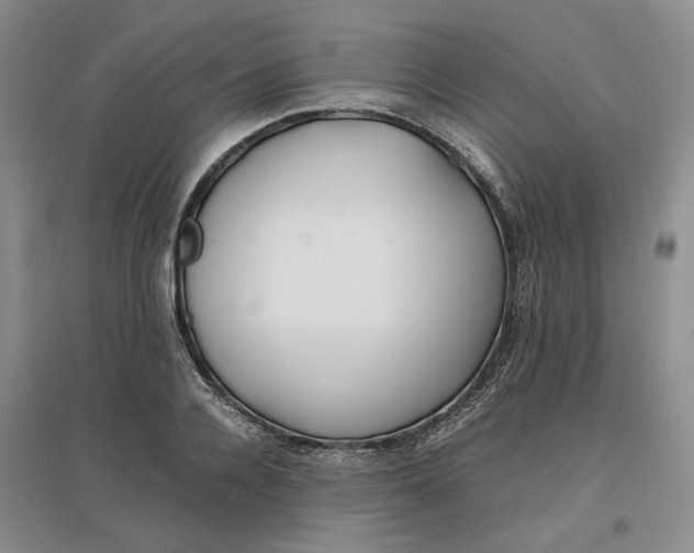 X0000096670936200802261449