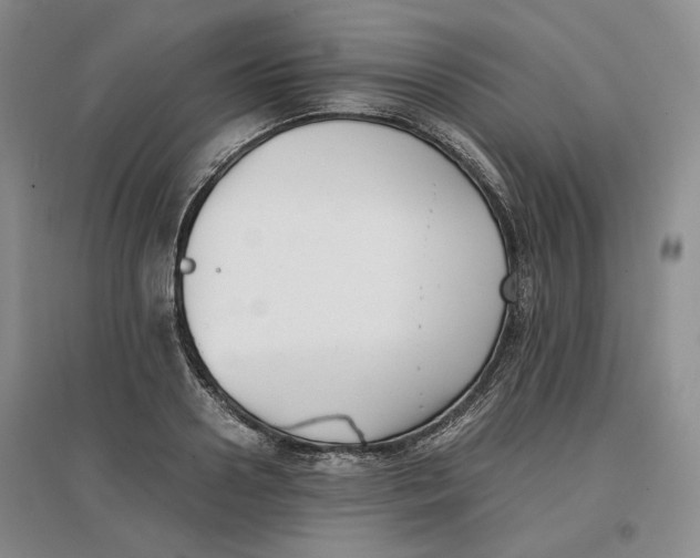 X0000096670938200802261449