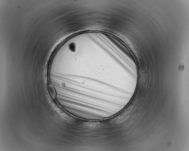 X0000096670939200802261449