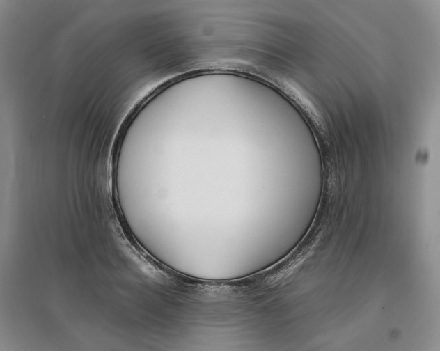 X0000096670940200802261449