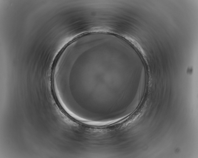 X0000096670941200802261449