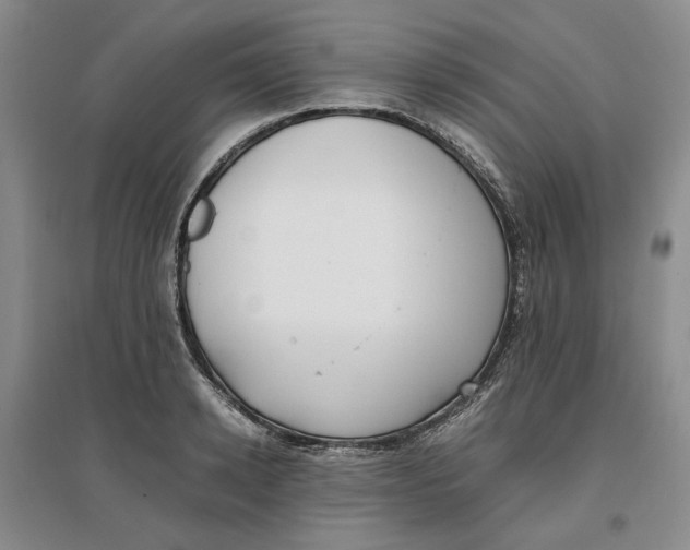 X0000096670942200802261449