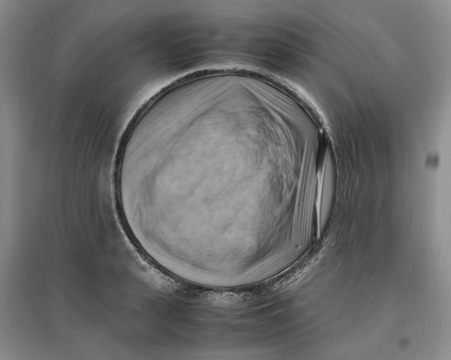 X0000096670943200802261449