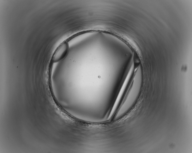 X0000096670944200802261449