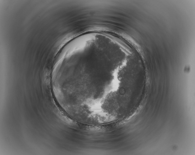 X0000096670945200802261449