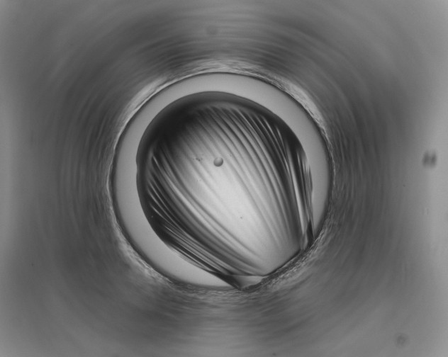 X0000096670946200802261449