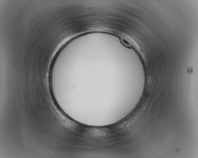 X0000096670947200802261449