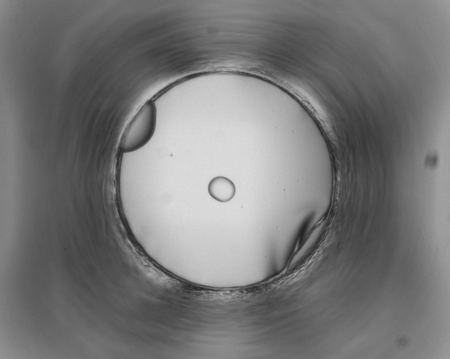 X0000096670948200802261449