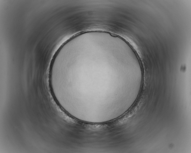 X0000096670949200802261449