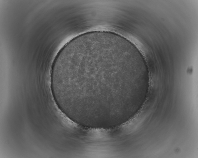 X0000096670950200802261449