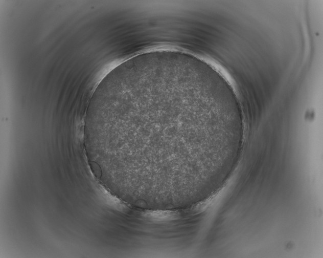 X0000096670953200802261449