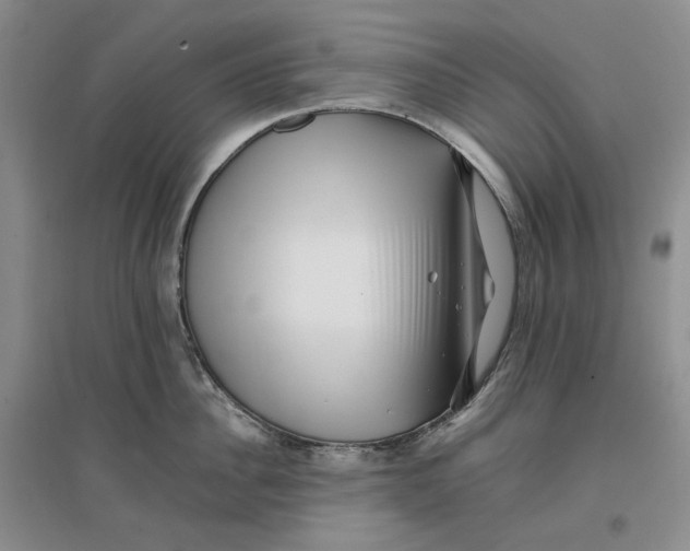 X0000096670956200802261449