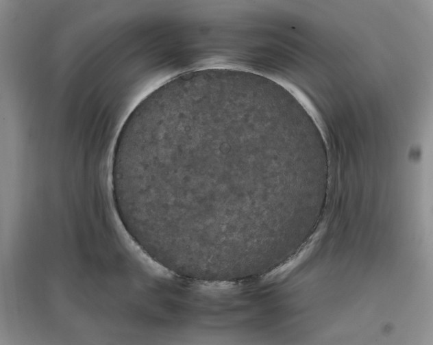 X0000096670957200802261449