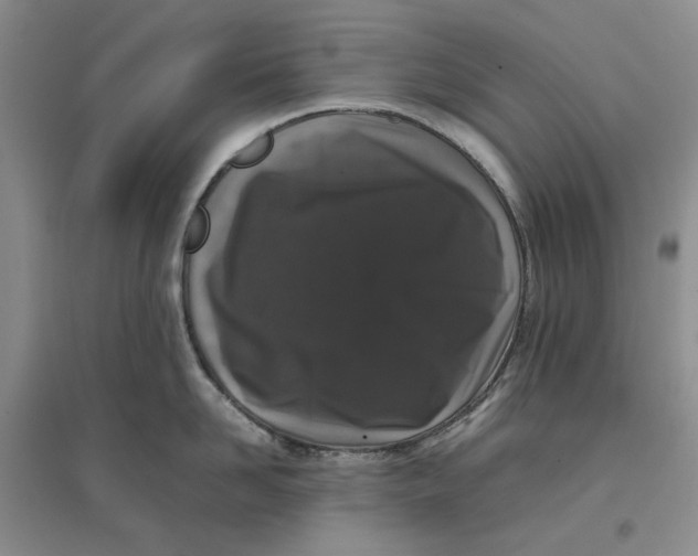 X0000096670958200802261449