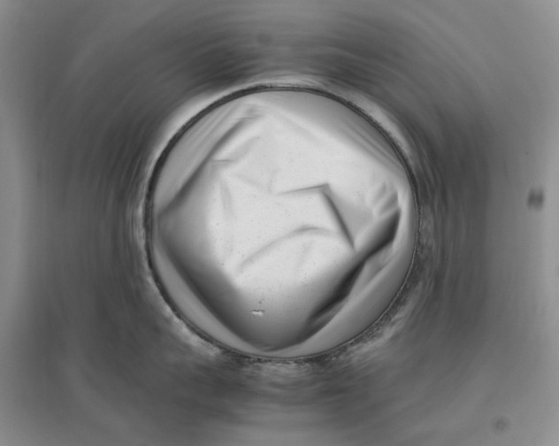 X0000096670959200802261449