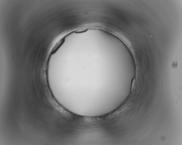 X0000096670960200802261449