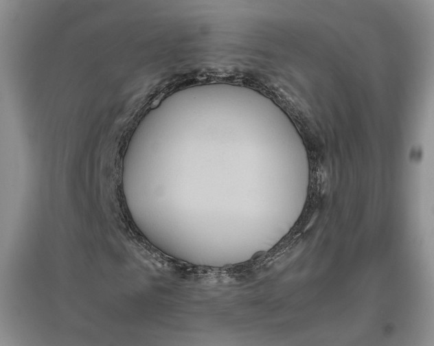 X0000096670961200802261448